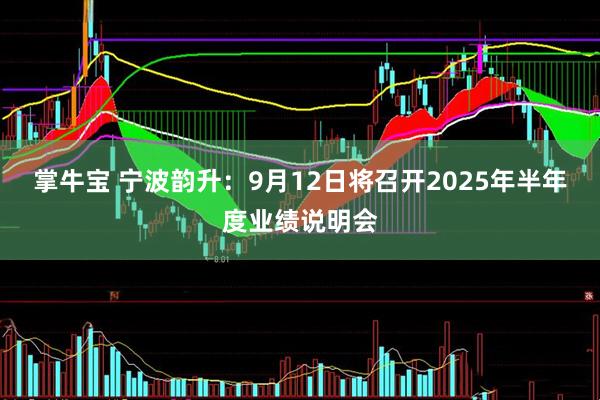 掌牛宝 宁波韵升：9月12日将召开2025年半年度业绩说明会