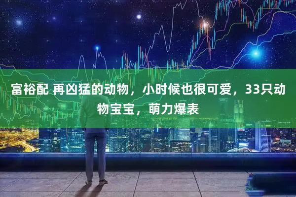 富裕配 再凶猛的动物，小时候也很可爱，33只动物宝宝，萌力爆表