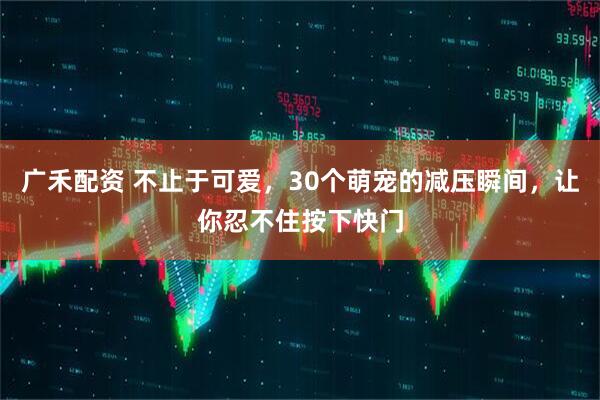 广禾配资 不止于可爱，30个萌宠的减压瞬间，让你忍不住按下快门
