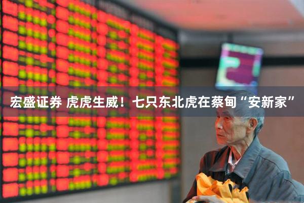 宏盛证券 虎虎生威！七只东北虎在蔡甸“安新家”