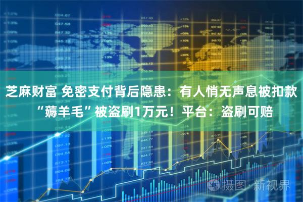 芝麻财富 免密支付背后隐患：有人悄无声息被扣款 “薅羊毛”被盗刷1万元！平台：盗刷可赔