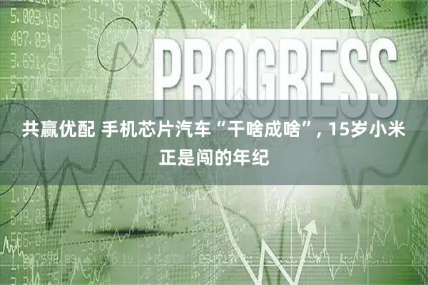 共赢优配 手机芯片汽车“干啥成啥”, 15岁小米正是闯的年纪