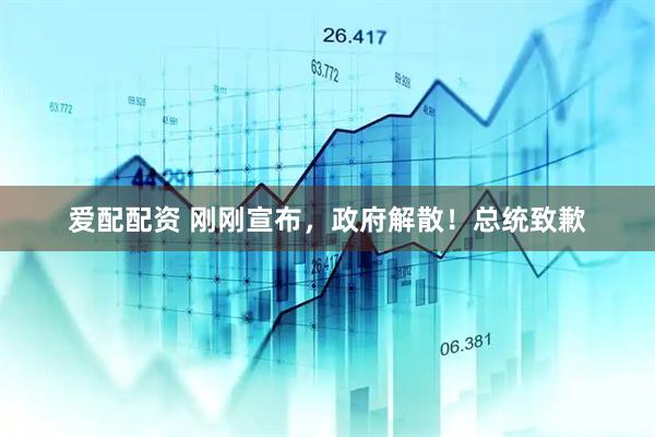 爱配配资 刚刚宣布，政府解散！总统致歉