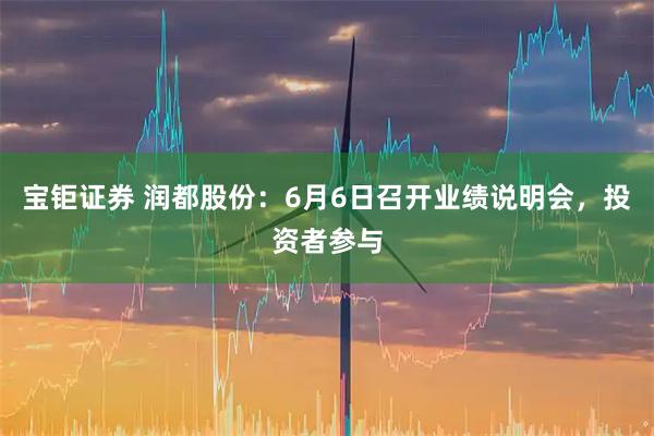 宝钜证券 润都股份：6月6日召开业绩说明会，投资者参与