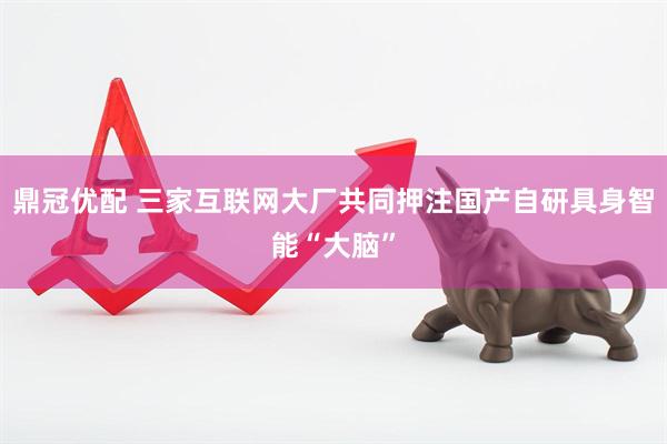 鼎冠优配 三家互联网大厂共同押注国产自研具身智能“大脑”