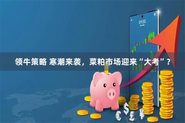 领牛策略 寒潮来袭，菜粕市场迎来“大考”？