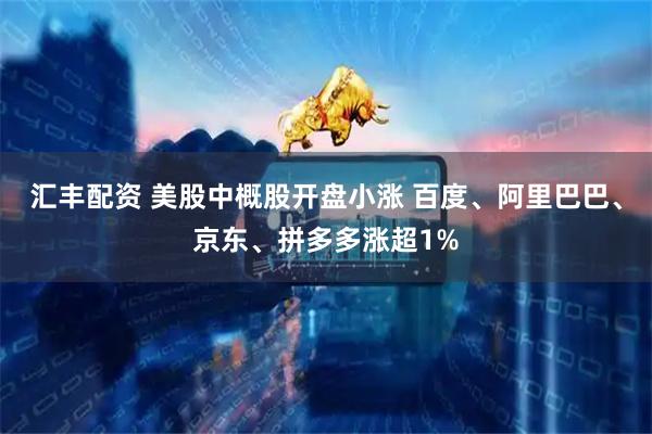 汇丰配资 美股中概股开盘小涨 百度、阿里巴巴、京东、拼多多涨超1%
