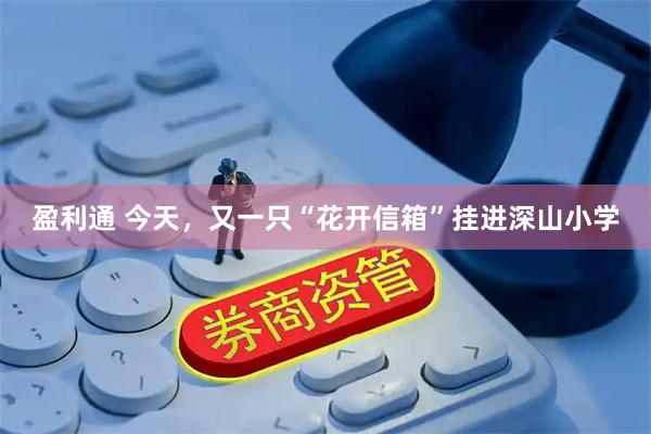 盈利通 今天，又一只“花开信箱”挂进深山小学
