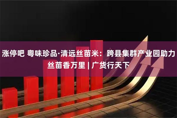 涨停吧 粤味珍品·清远丝苗米：跨县集群产业园助力丝苗香万里 | 广货行天下