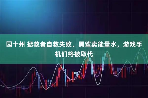 园十州 拯救者自救失败、黑鲨卖能量水，游戏手机们终被取代